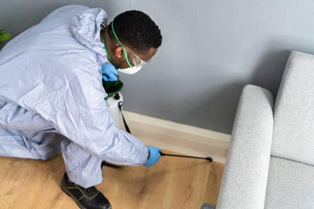 Best Residential Pest Control  in Freeland, MI